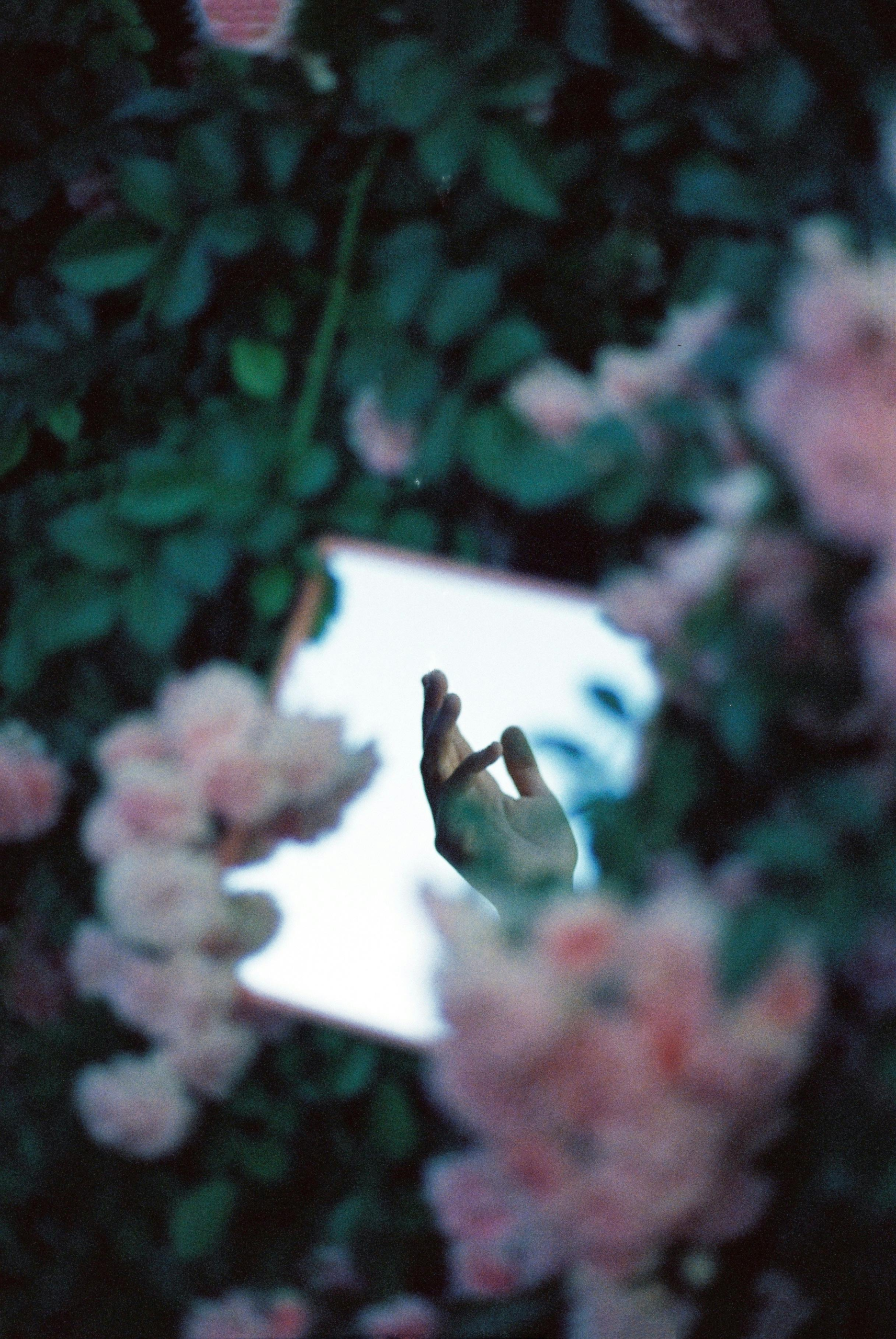 Ontario Psychotherapy at MEV Therapy, reflection of a hand in a mirror surrounded by flowers