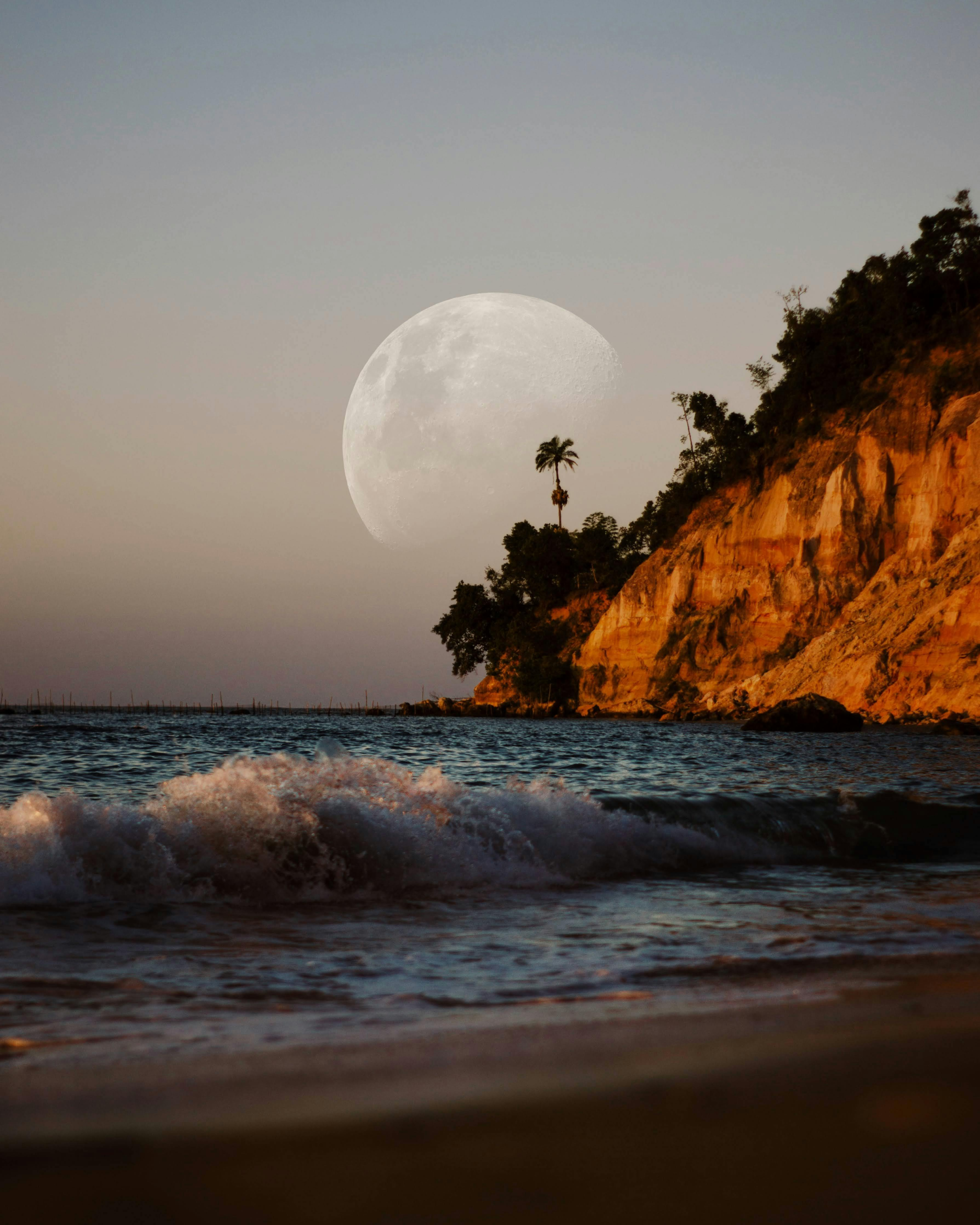 Ontario Psychotherapy with MEV Therapy, peaceful beach scene with sunset and palm tree